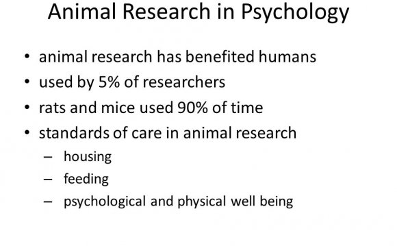 Animal research in Psychology